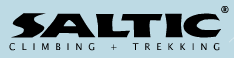Saltic logo